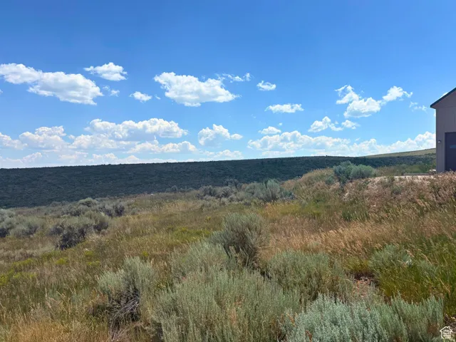 Expansive undeveloped land featuring natural vegetation and distant hills