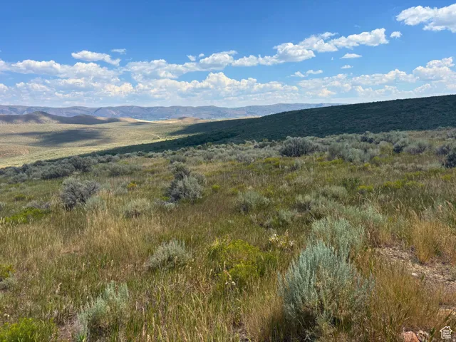 Expansive parcel featuring a diverse mix of native grasses and shrubbery under a broad sky with scattered clouds