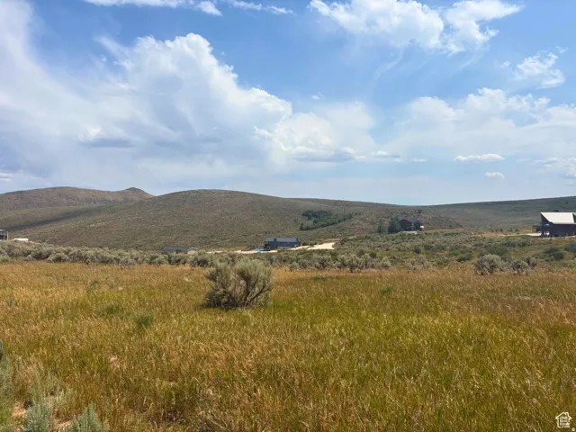 Expansive grass and brush land with rolling hills in the background