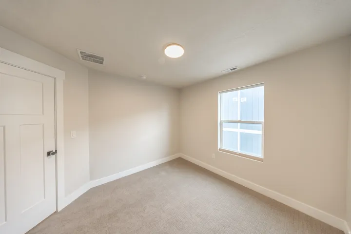 Carpeted interior room featuring a modern panel door with black hardware, a window with white trim, and a flush-mount ceiling light fixture