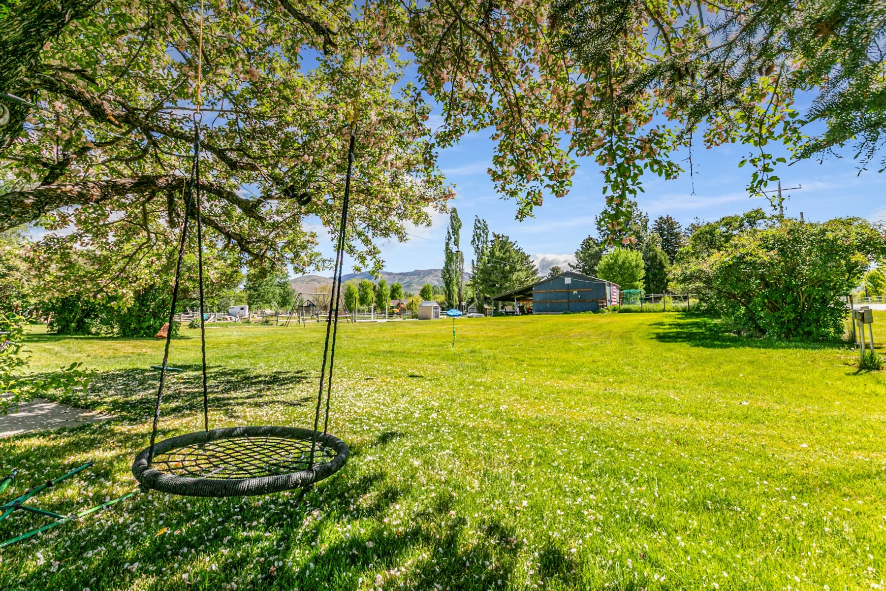 Expansive green lawn with mature shade trees