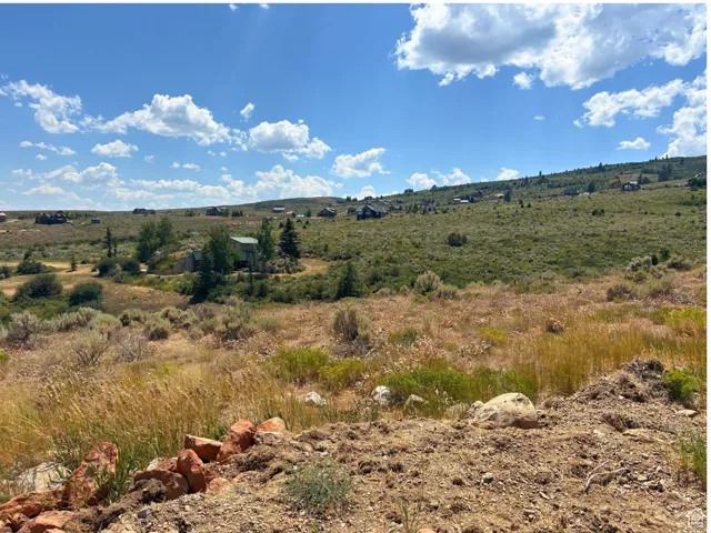 Expansive natural landscape featuring rolling hills, varied vegetation including grasses and shrubs, scattered mature trees, and distant residential structures
