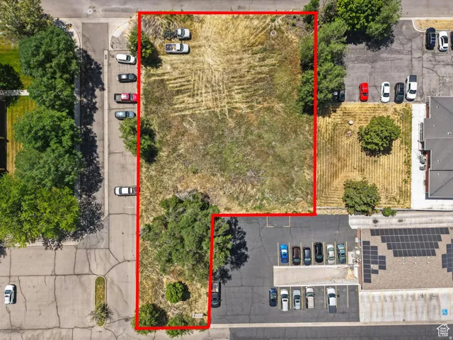 Expansive land parcel featuring existing mature trees