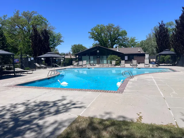 Outdoor swimming pool large gathering area to lay out or entertain
