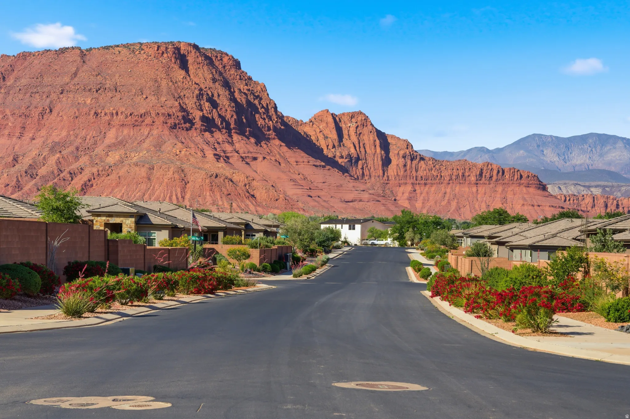 Paved street surrounded by desert landscaping and low-profile homes