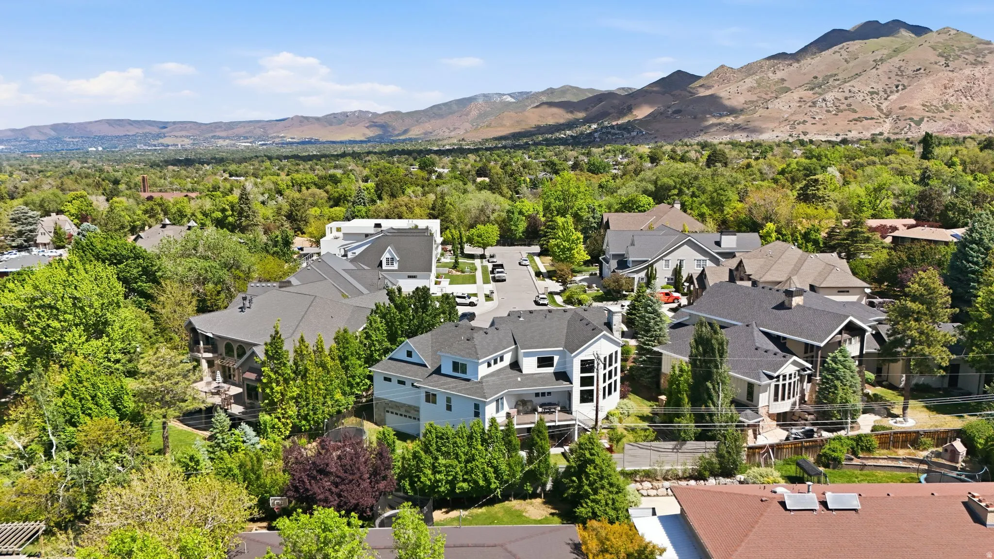 Expansive neighborhood with mature trees, showcasing varied architectural styles and a mountainous backdrop