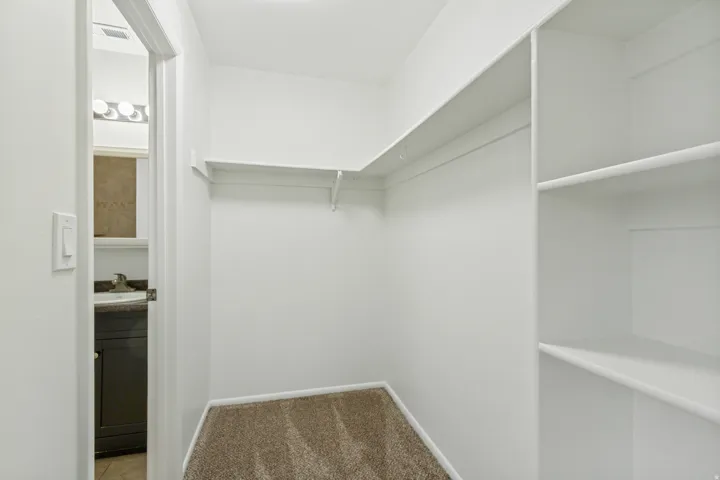 Walk-in closet featuring built-in shelving, carpet flooring, white walls, and a hanging rod