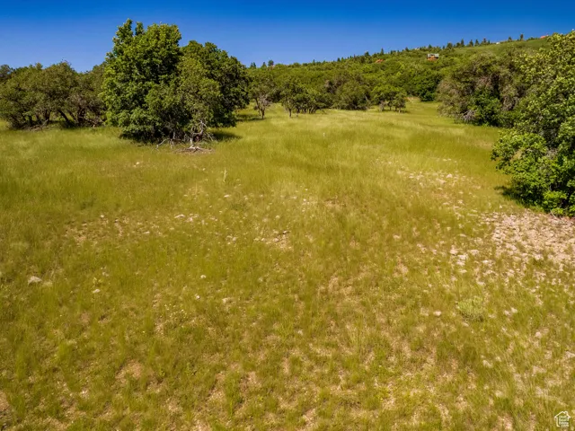 Unit 86, Fairview, Utah 84629
