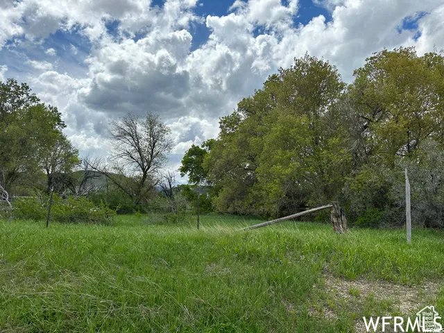 Expansive green space featuring mature trees and partial fencing