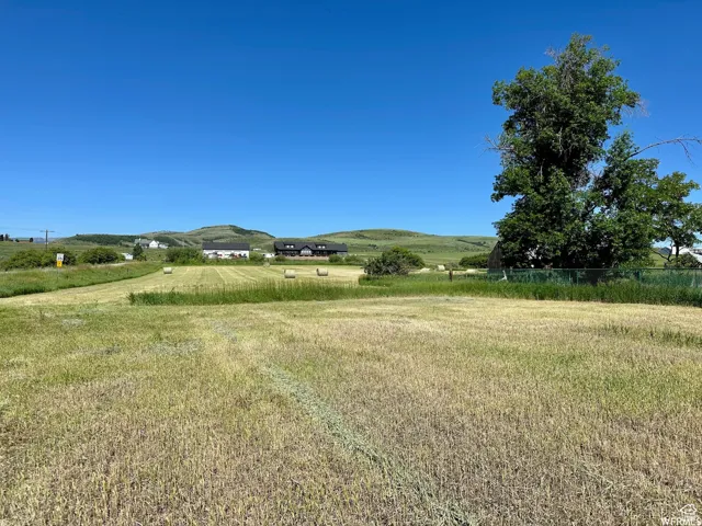 Expansive grassy field with distant homes, rolling hills, and mature trees