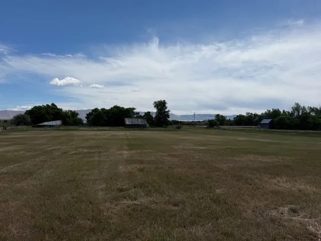 Expansive open field with distant mountains and scattered trees