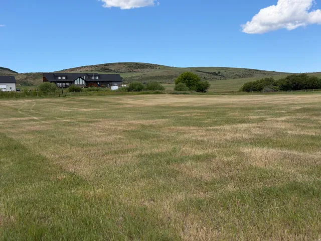 Expansive open field with natural grass