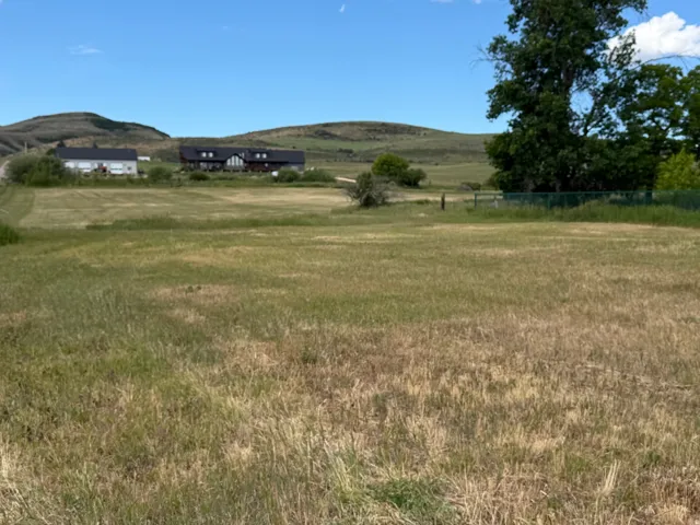Expansive grassy field with distant rolling hills, mature trees, and a distant residential structure