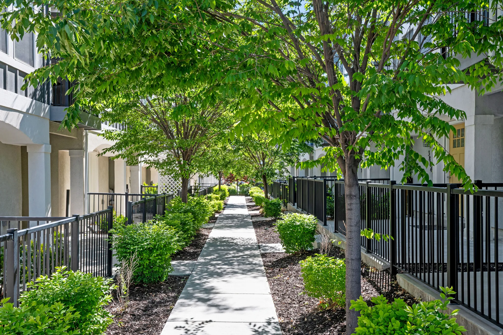 Pedestrian walkway flanked by mature trees and manicured shrubbery