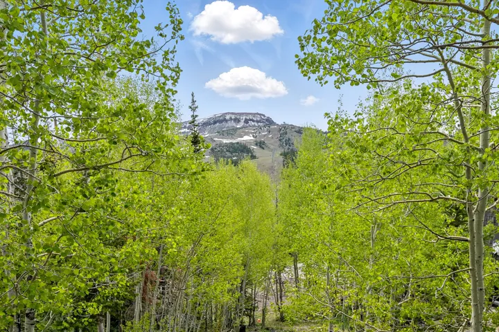 286 W Eagles Roost St #c107, Brian Head, Utah 84719