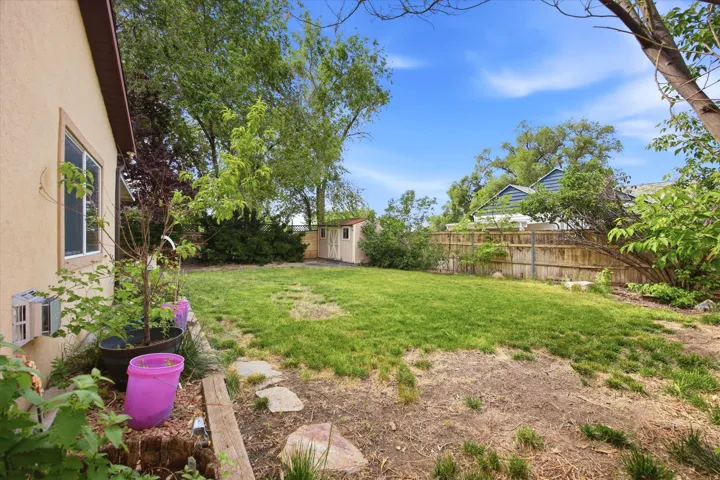 Spacious backyard featuring a substantial lawn area, perimeter fencing, and mature trees