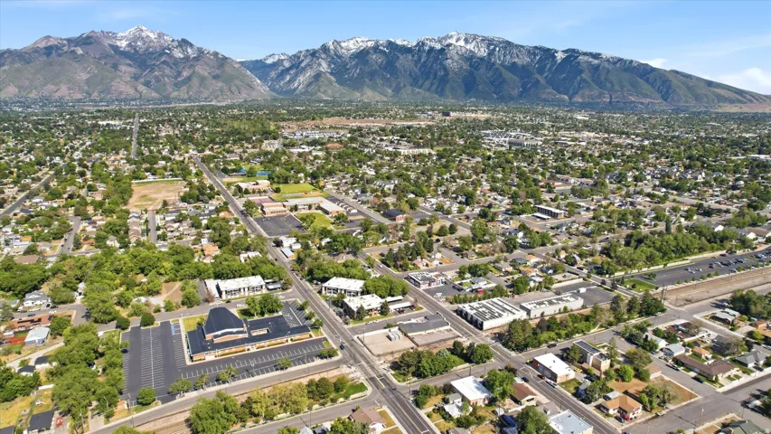 Expansive urban landscape with extensive tree canopy and distant snow-capped mountains