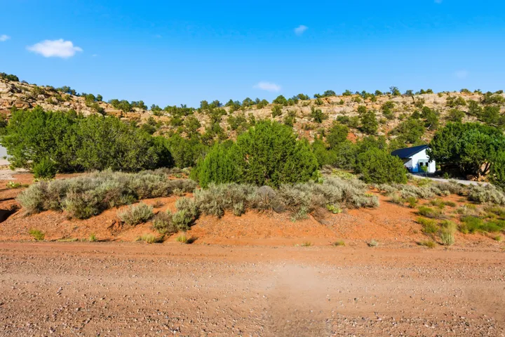 White exterior with a dark roof nestled into a natural, sloped landscape featuring abundant green trees and shrubs
