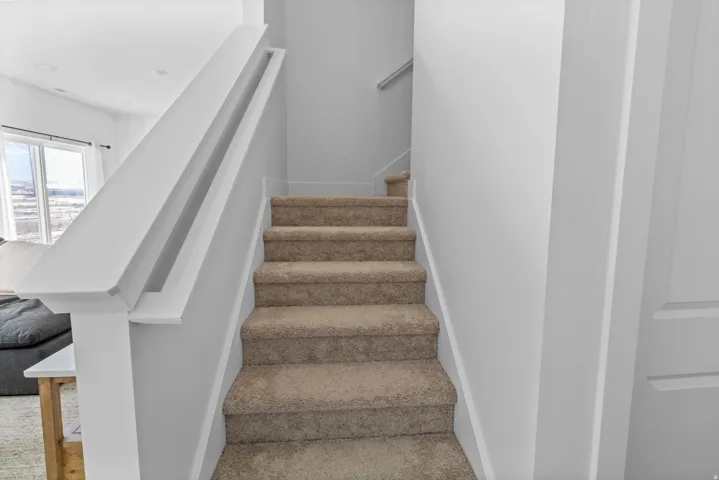 Carpeted staircase with white railings and light gray wall paint
