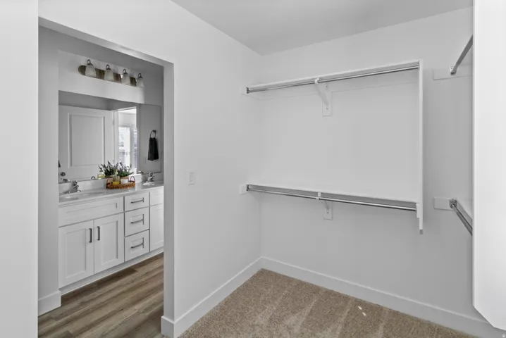 Walk-in closet featuring carpet flooring, built-in shelving, and clothing rods, with a clear sightline into a bathroom with a double vanity and wood-finish flooring