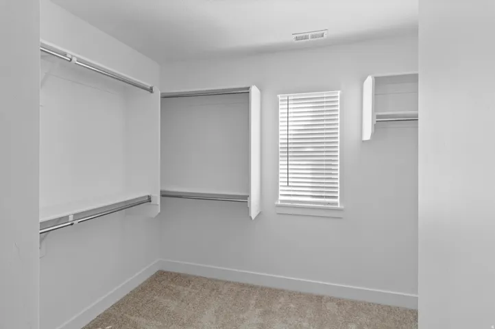 Spacious walk-in closet featuring white built-in shelving, chrome hanging rods, a window with blinds, and light-colored carpet flooring