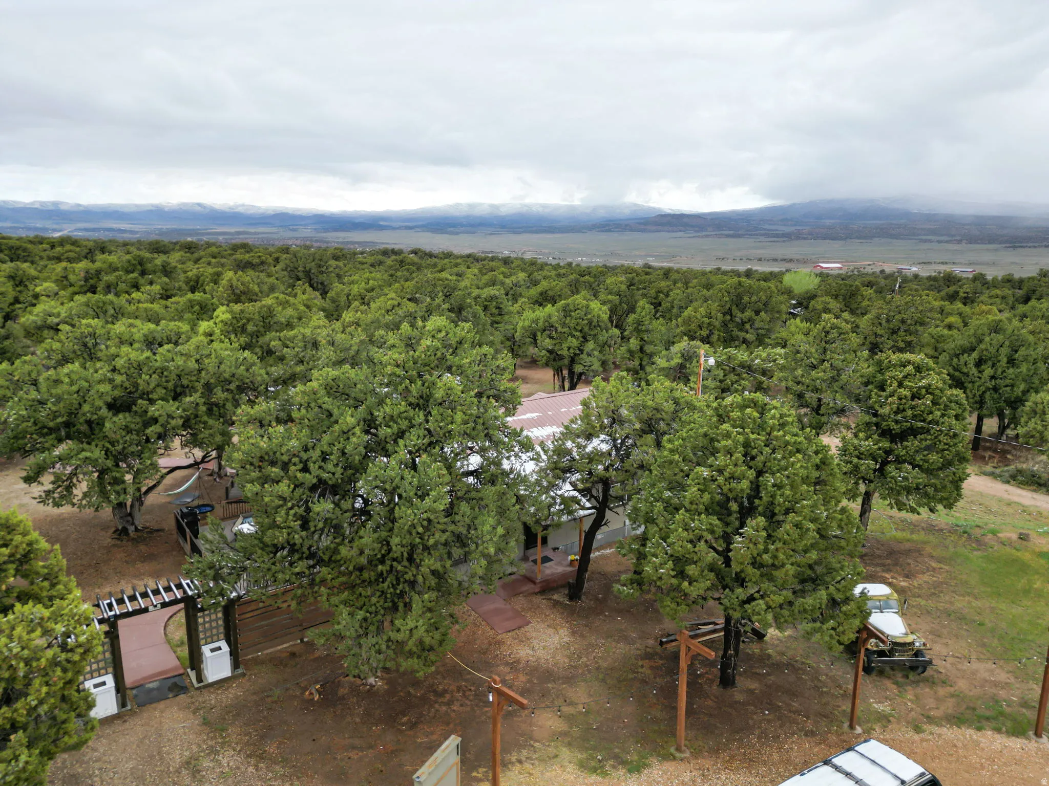 Extensive tree coverage surrounding the property, featuring a home with a light-colored exterior and a brown roof