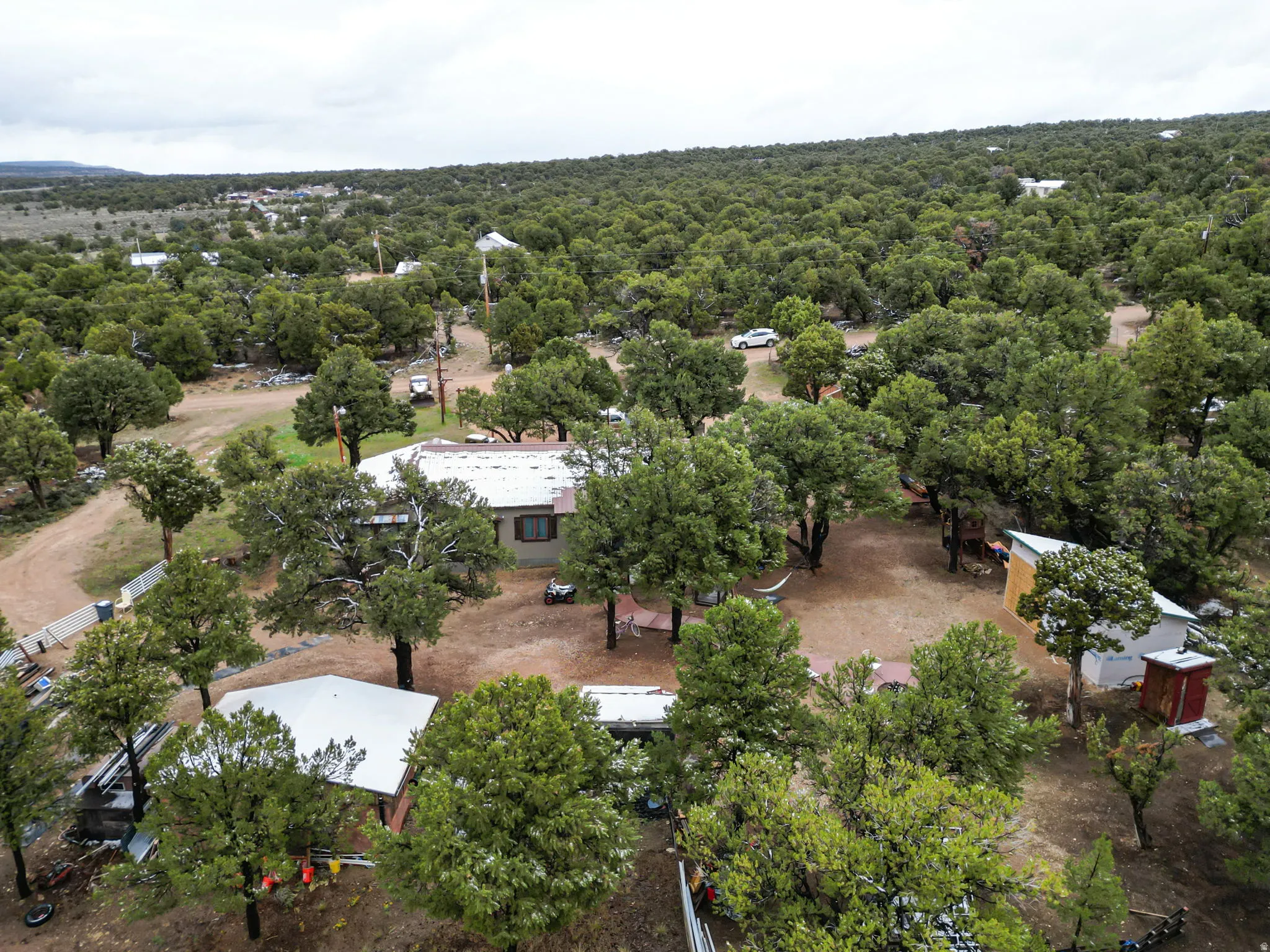 Expansive property surrounded by mature trees