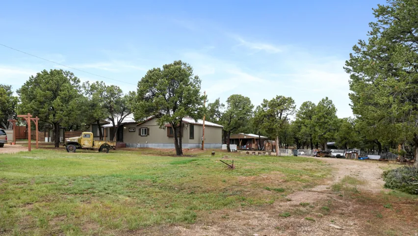 Expansive property featuring a single-story residence with a covered front porch, surrounded by mature trees