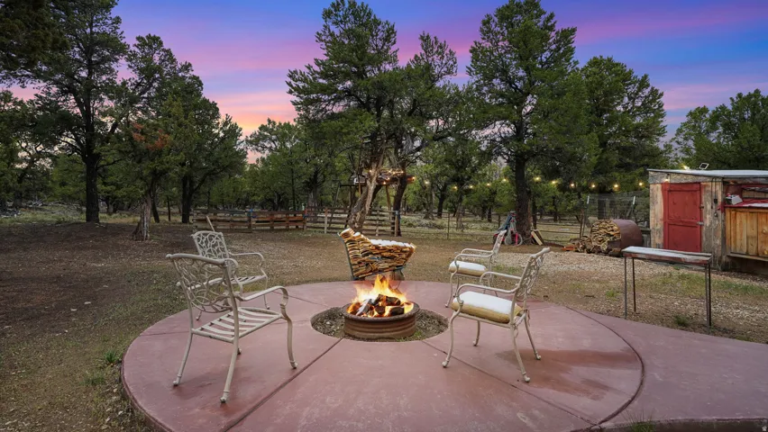 Outdoor concrete patio featuring a built-in fire pit, surrounded by mature trees, string lighting, a rustic shed, and a wooden fence line