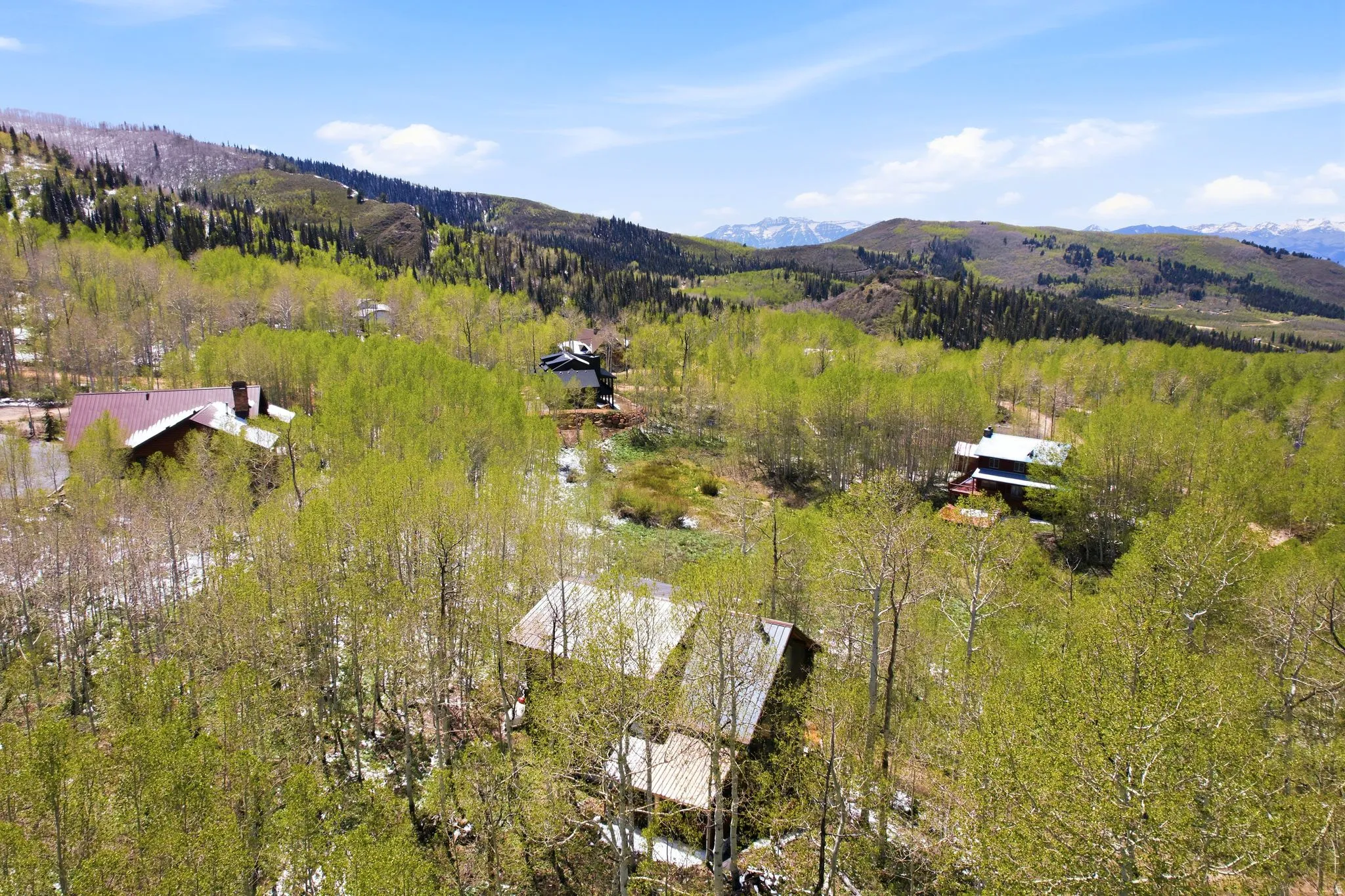 Aerial perspective showcasing multiple homes nestled amongst extensive trees