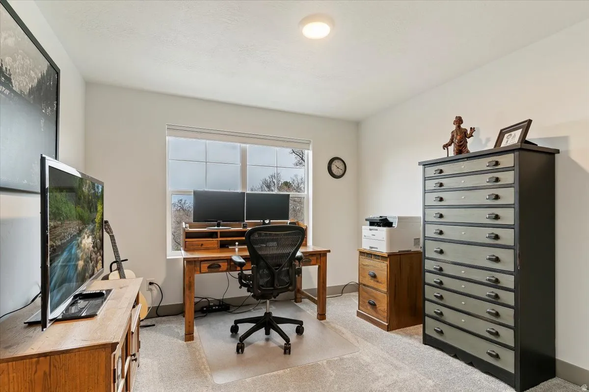 Bright room featuring a window, light-colored walls, and carpet flooring