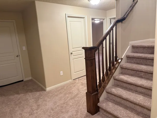 Carpeted staircase with dark wood-finish newel post and balusters, featuring panel doors and neutral wall paint