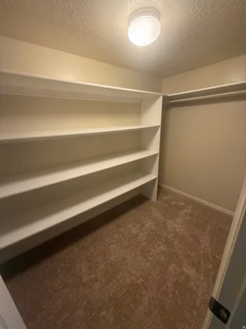 Built-in shelving, carpet flooring, and flush mount lighting