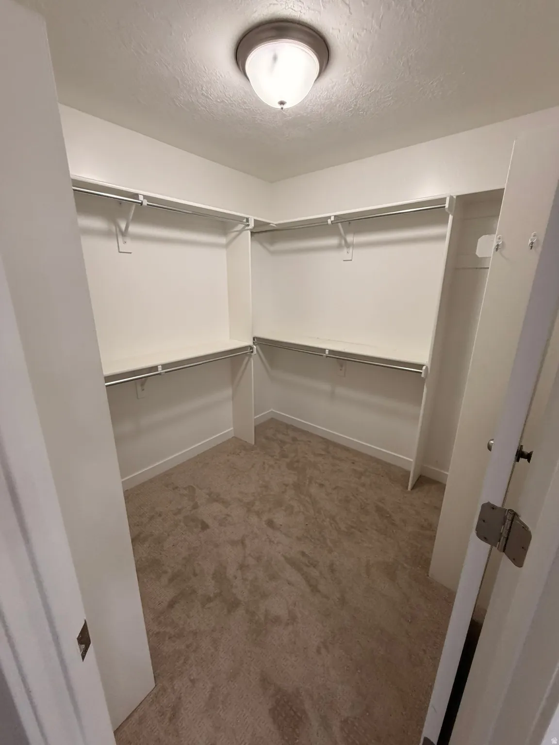 Spacious walk-in closet featuring white built-in shelving, chrome hanging rods, and neutral-toned carpeting