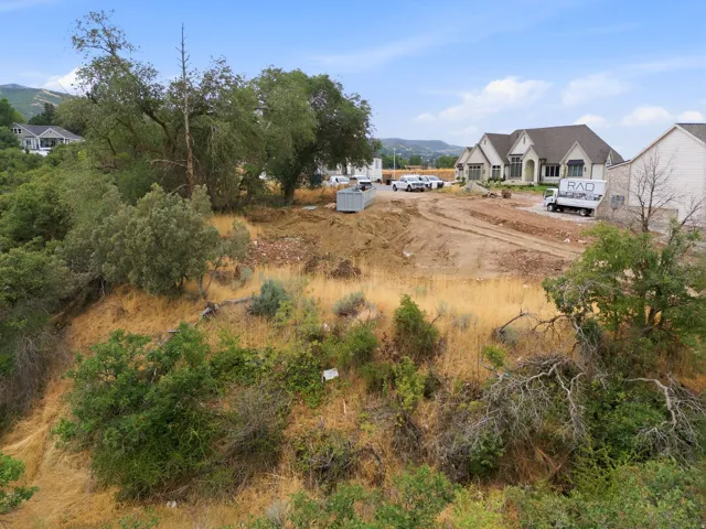 Expansive undeveloped land featuring natural vegetation and varying topography