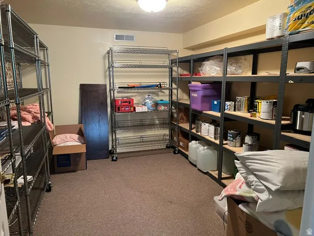 Large Basement storage room with shelving