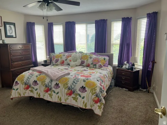 Spacious primary bedroom featuring a bay window.