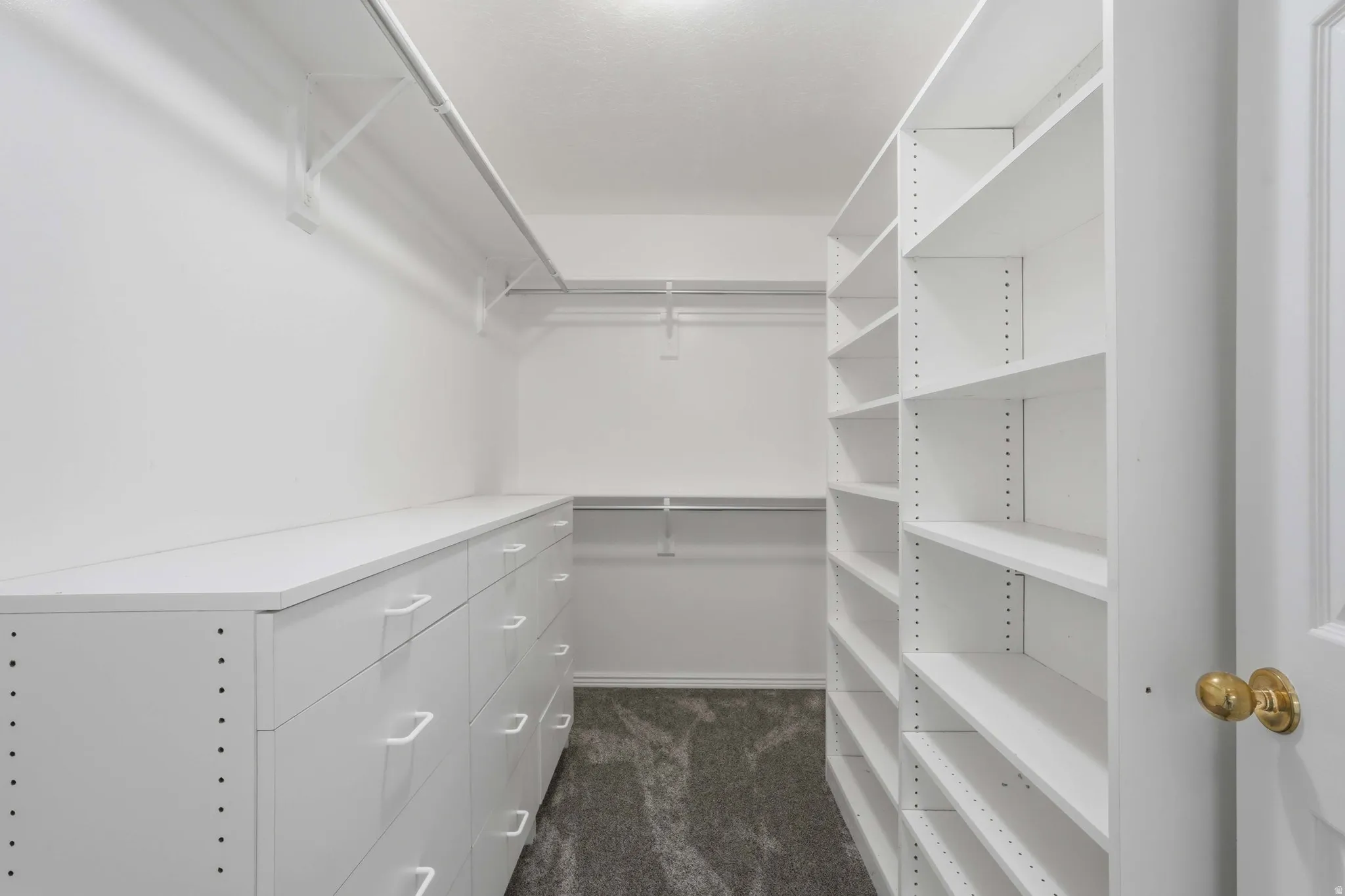 Primary Bedroom Walk-In Closet
