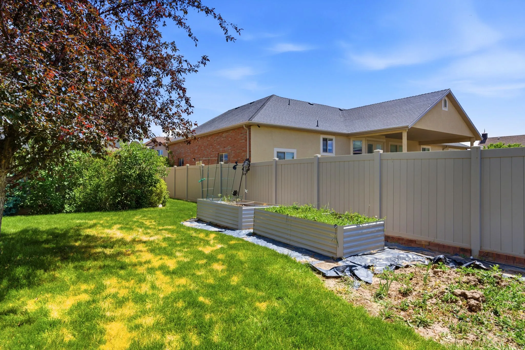 Expansive backyard featuring a manicured lawn, established shade tree, and raised garden beds