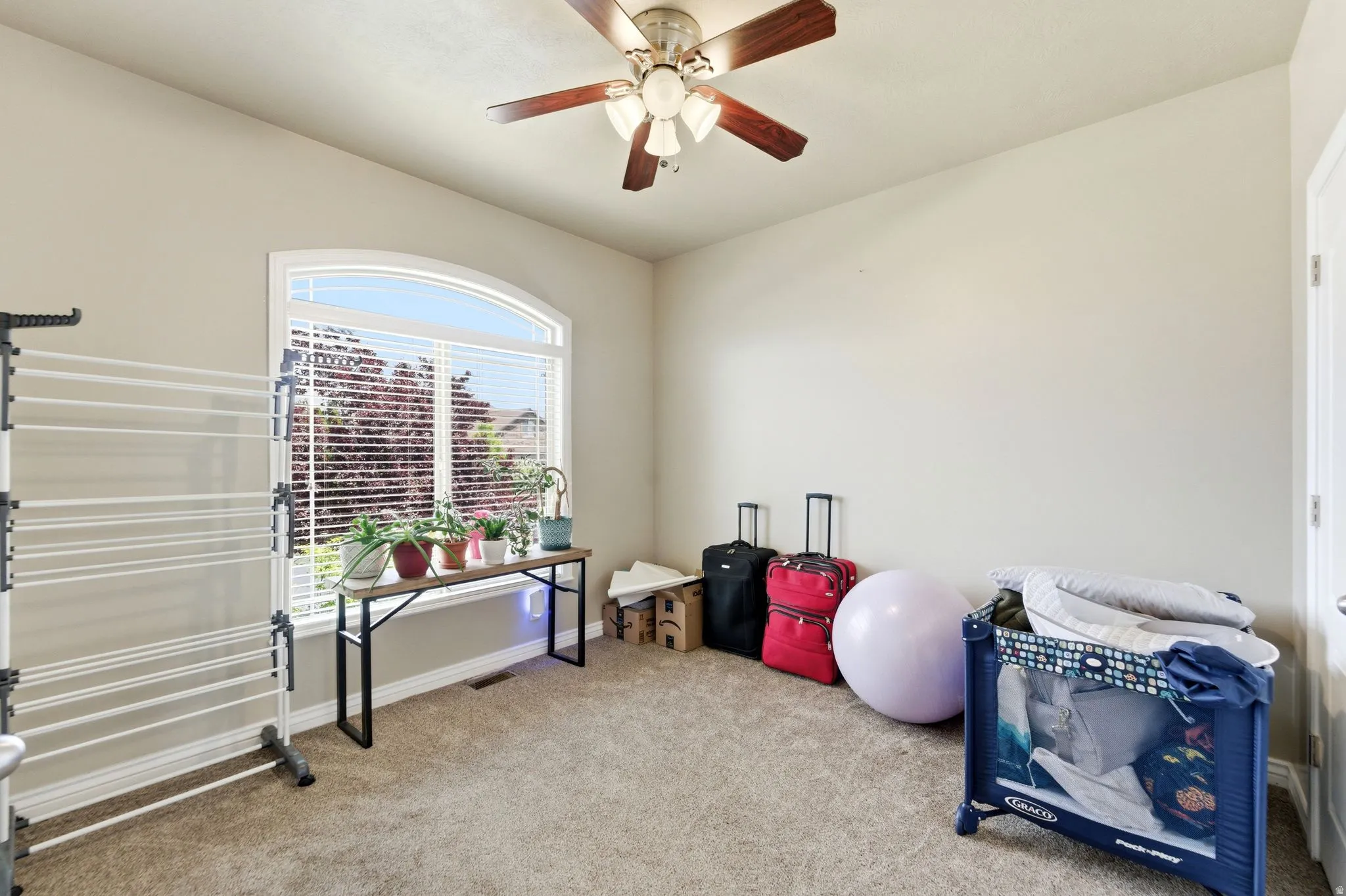 Carpeted room featuring a large arched window with blinds, a ceiling fan with light fixture, and neutral painted walls