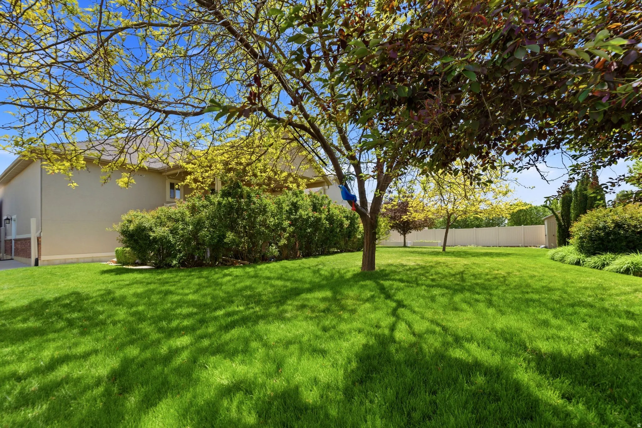 Expansive green lawn with mature trees providing dappled shade