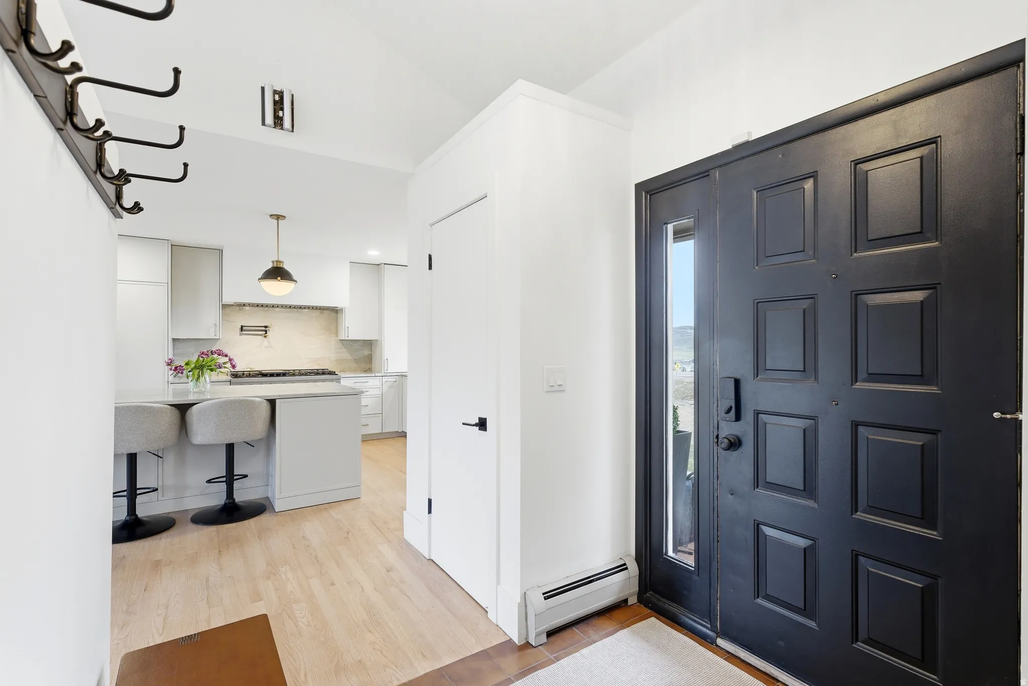 Entryway featuring a paneled black door with a vertical sidelight, wood-finish flooring, and white walls