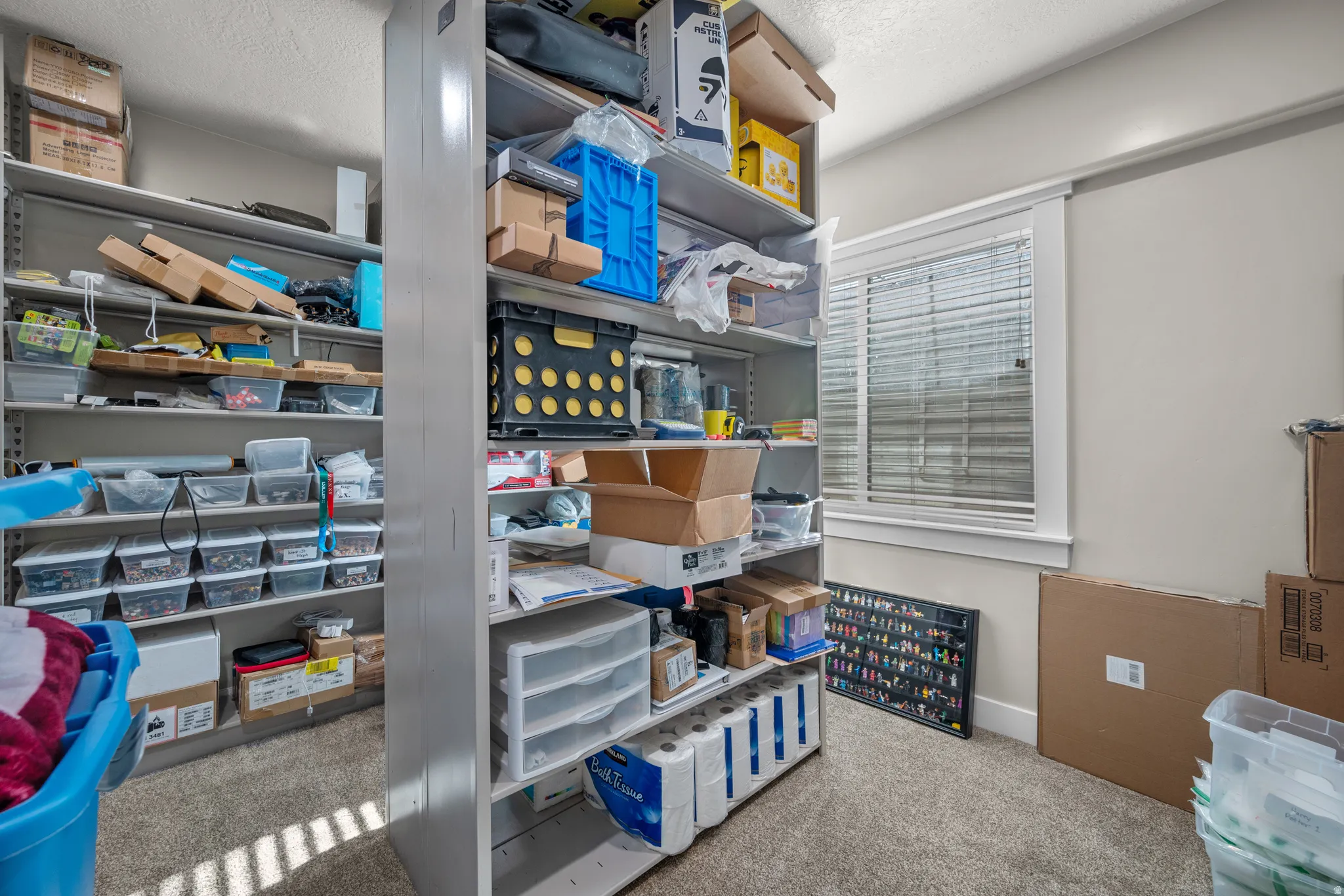 Room featuring light gray walls, textured carpeting, and a window with white blinds and trim