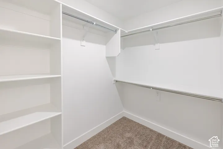 Walk-in closet featuring built-in shelving, white walls, and carpet flooring