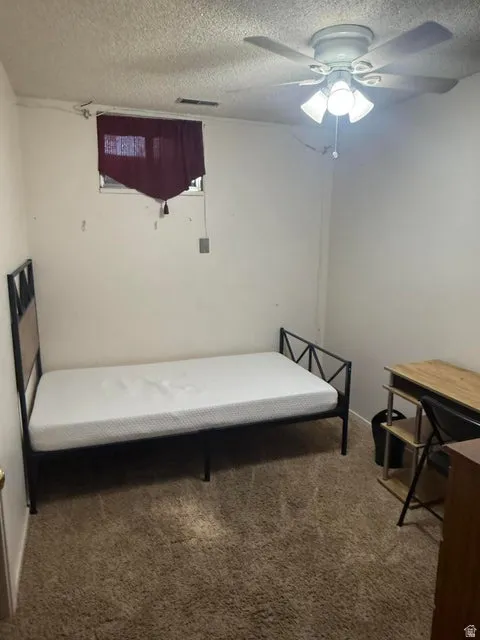 Carpeted room featuring a ceiling fan with light fixture and a single window