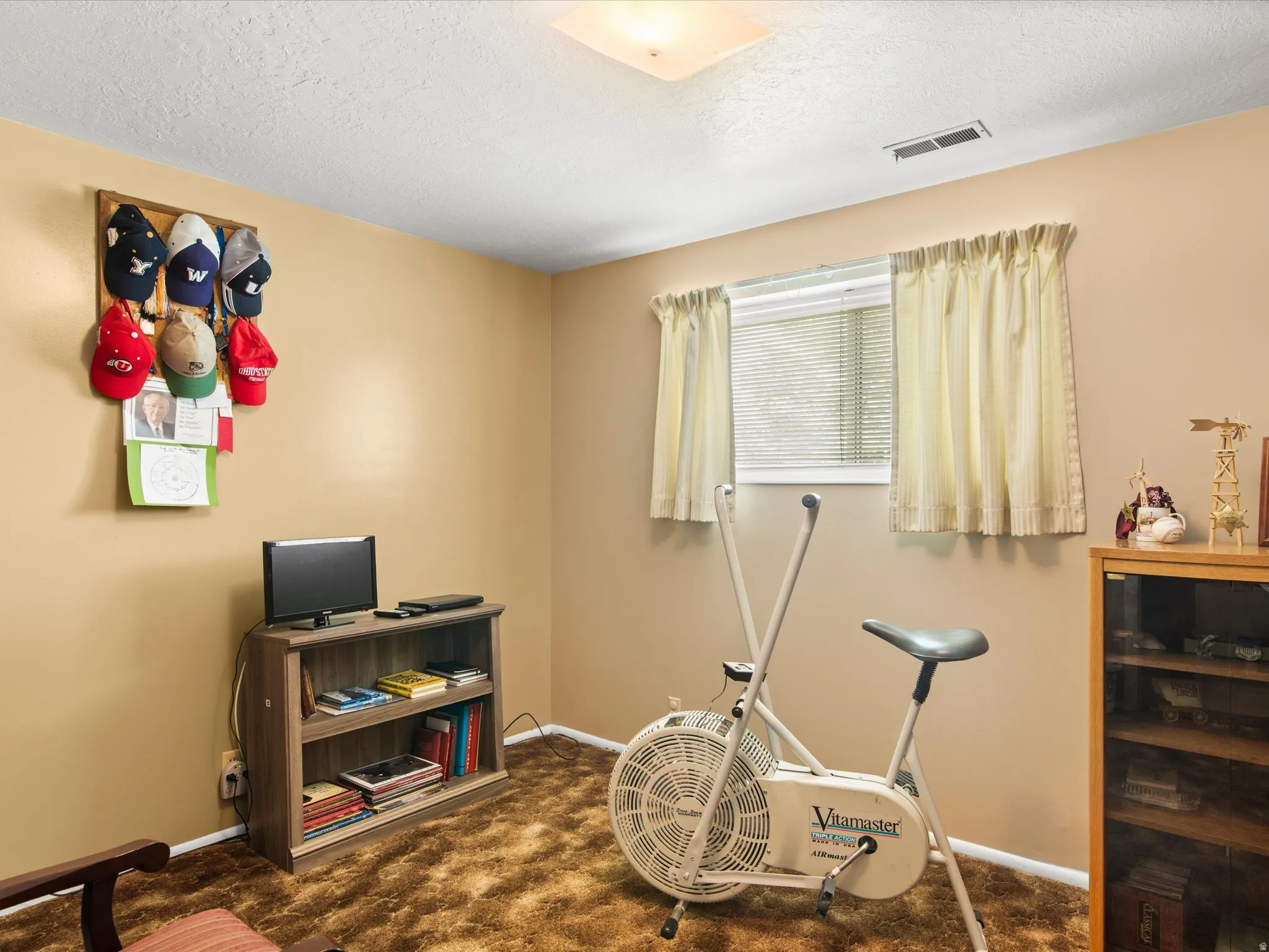 Carpeted room with a window, baseboard trim, and a ceiling light fixture