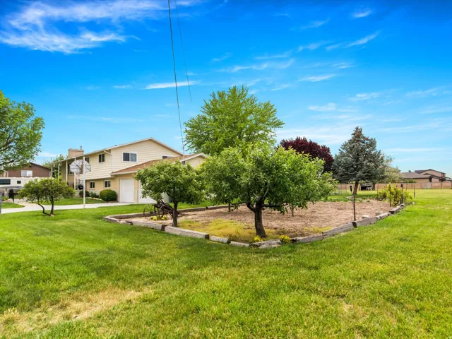 Expansive lawn area featuring a raised garden bed with mature trees, established perimeter fencing, and a basketball hoop