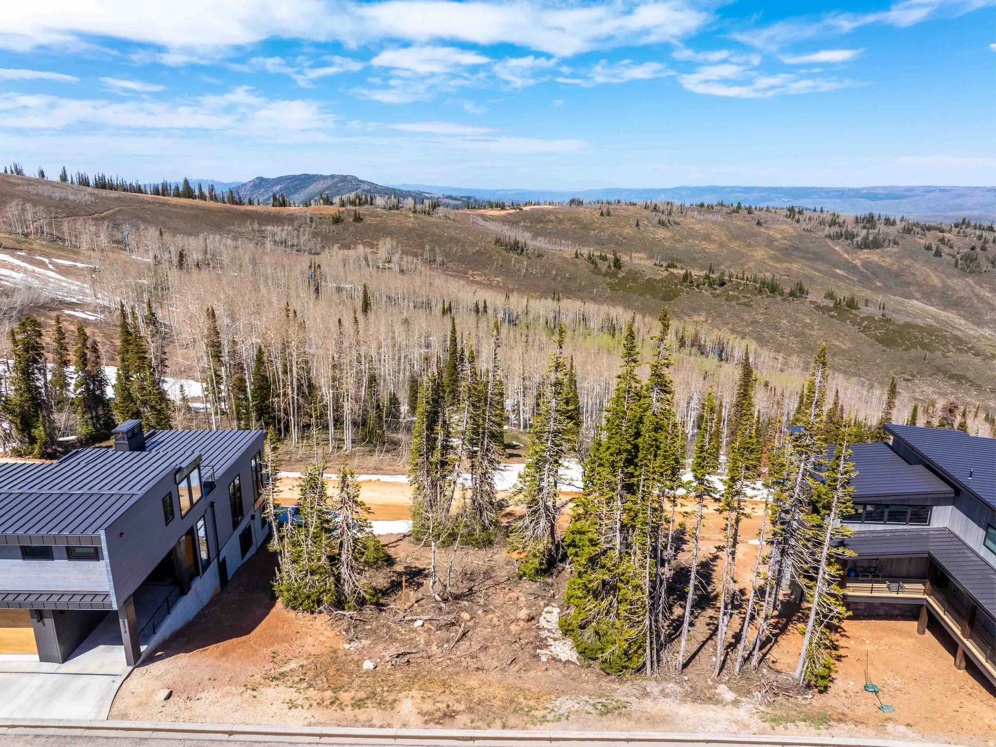 Expansive mountain landscape with diverse tree coverage