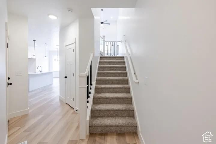 Interior stairway featuring carpeted treads, a white handrail, and a decorative metal balustrade, complemented by wood-finish flooring and paneled interior doors