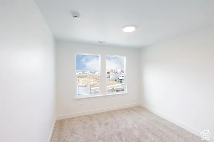 Neutral interior room featuring neutral-toned carpeting, white walls, dual windows, and a flush-mount overhead light fixture